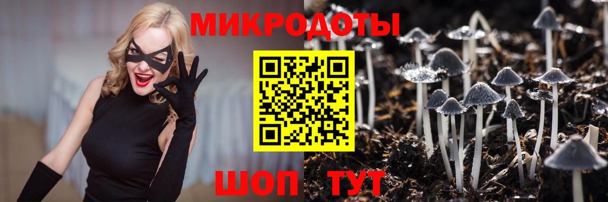 Луховицы  Галлюциногенные грибы мицелий  Вход с VPN  Псилоцибиновые грибы прущие грибы 